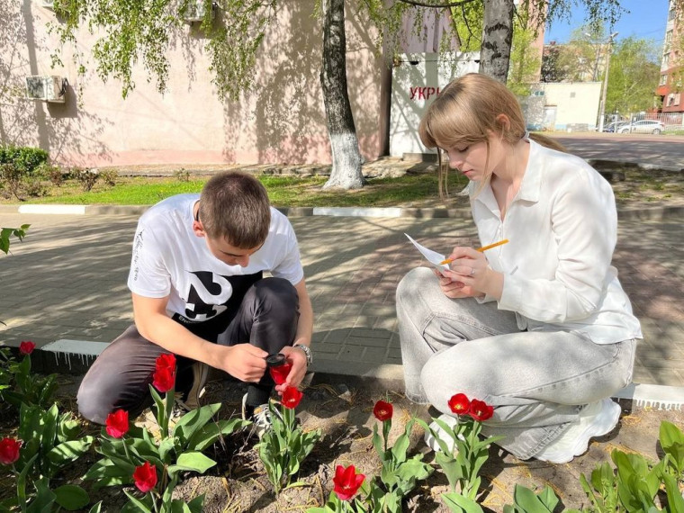 Акция «В Белгород пришла весна».
